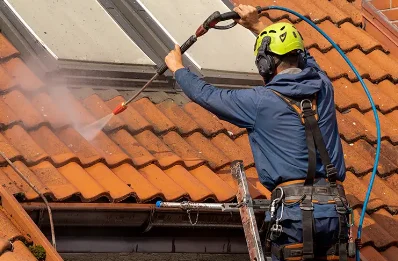 Démoussage et hydrofuge de toiture à Pellegrue
